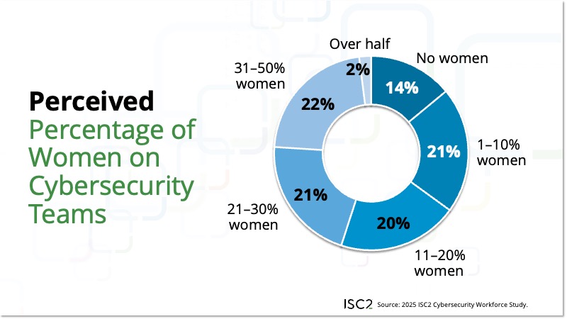 Percentage of women on cybersecurity teams